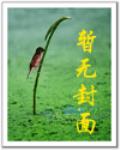 縱橫鬥破